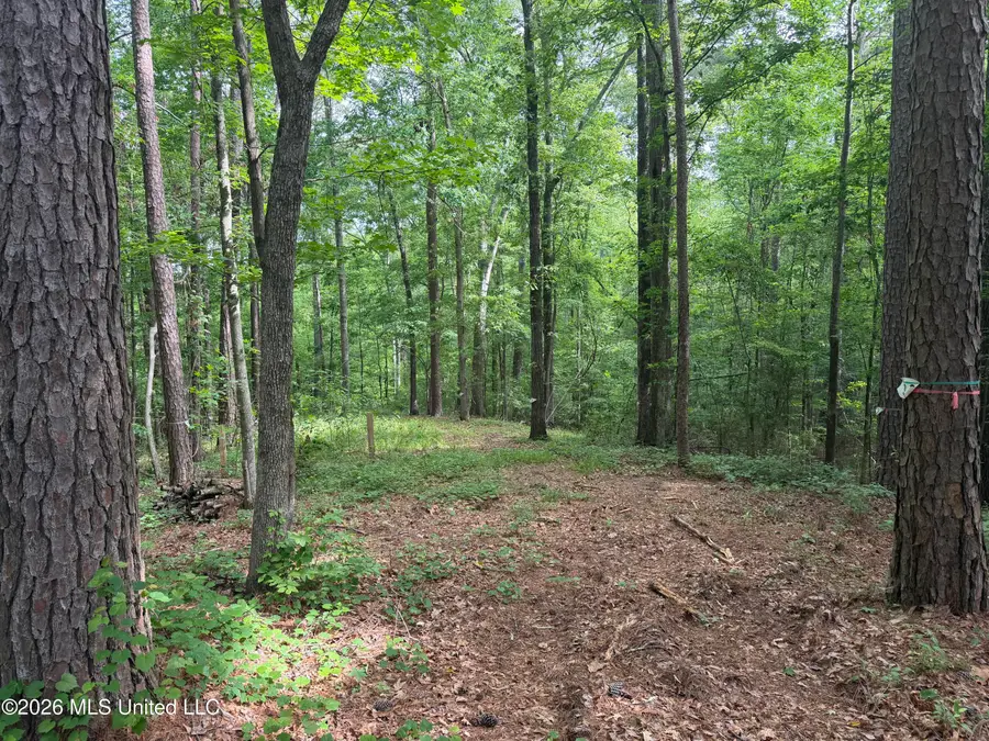 Evergreen Drive, Brandon, MS 39042 - #3
