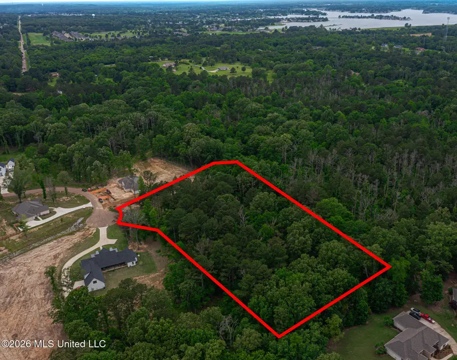 175 Hunters Cove, Madison, MS 39110 - #3