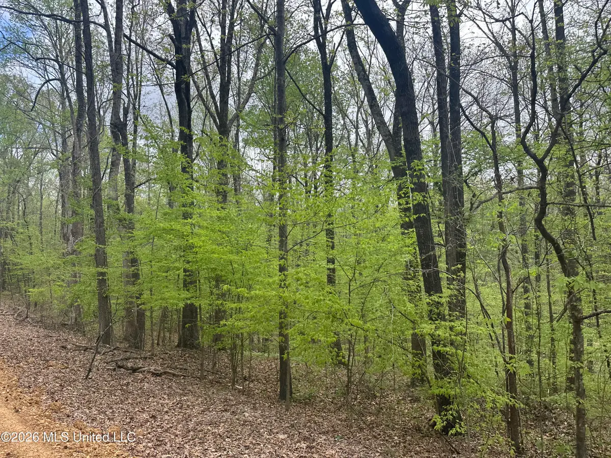 Tanyard Road, Hernando, MS 38632 - #1