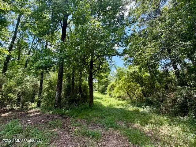 Oak Grove Road, Tylertown, MS 39667 - #1