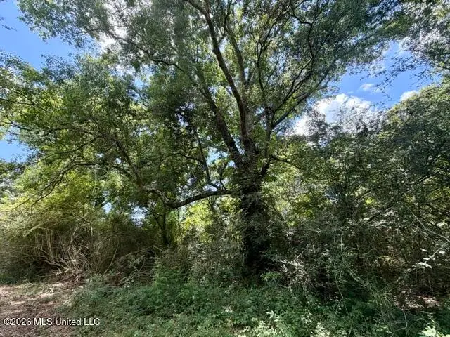 Oak Grove Road, Tylertown, MS 39667 - #3