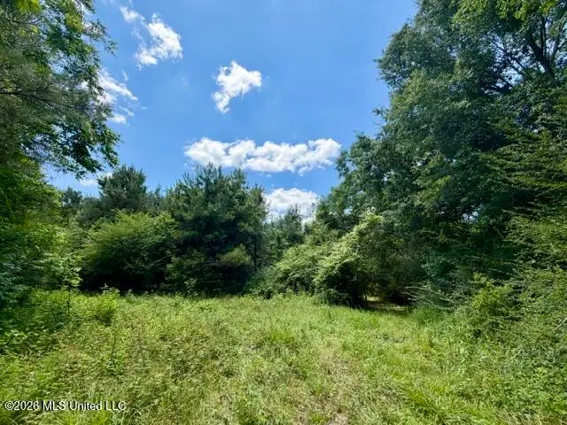 Vaniel Holmes Road, Tylertown, MS 39667 - #2