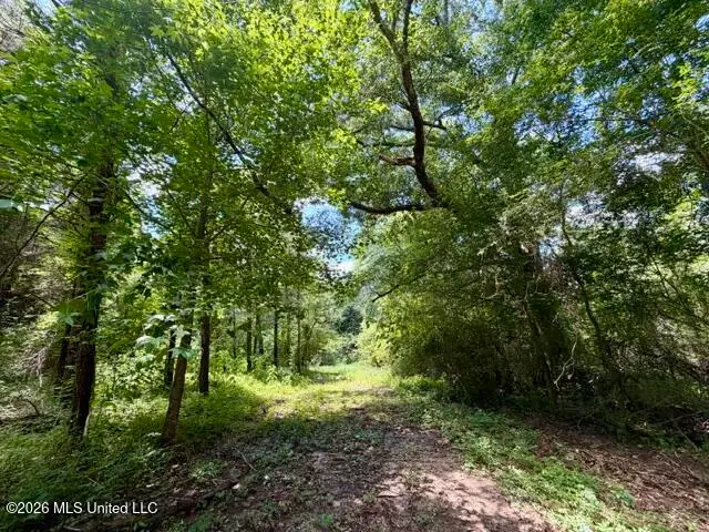Vaniel Holmes Road, Tylertown, MS 39667 - #3
