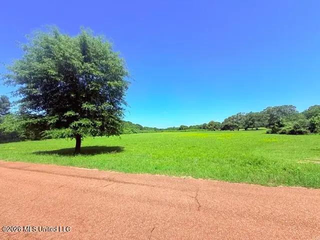 Union Church Road, Magnolia, MS 39652 - #1