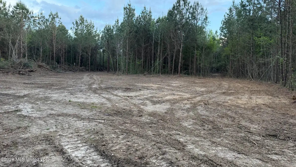 Velma Moore Road, Lawrence, MS 39336 - #1