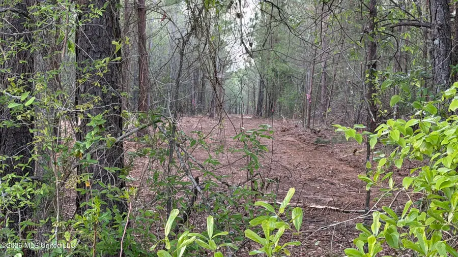 Velma Moore Road, Lawrence, MS 39336 - #2