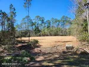 0 Cherrywood Place, Gautier, MS 39553 - #1