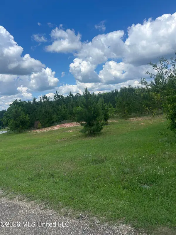 52 Joe Traylor Road, Hattiesburg, MS 39402