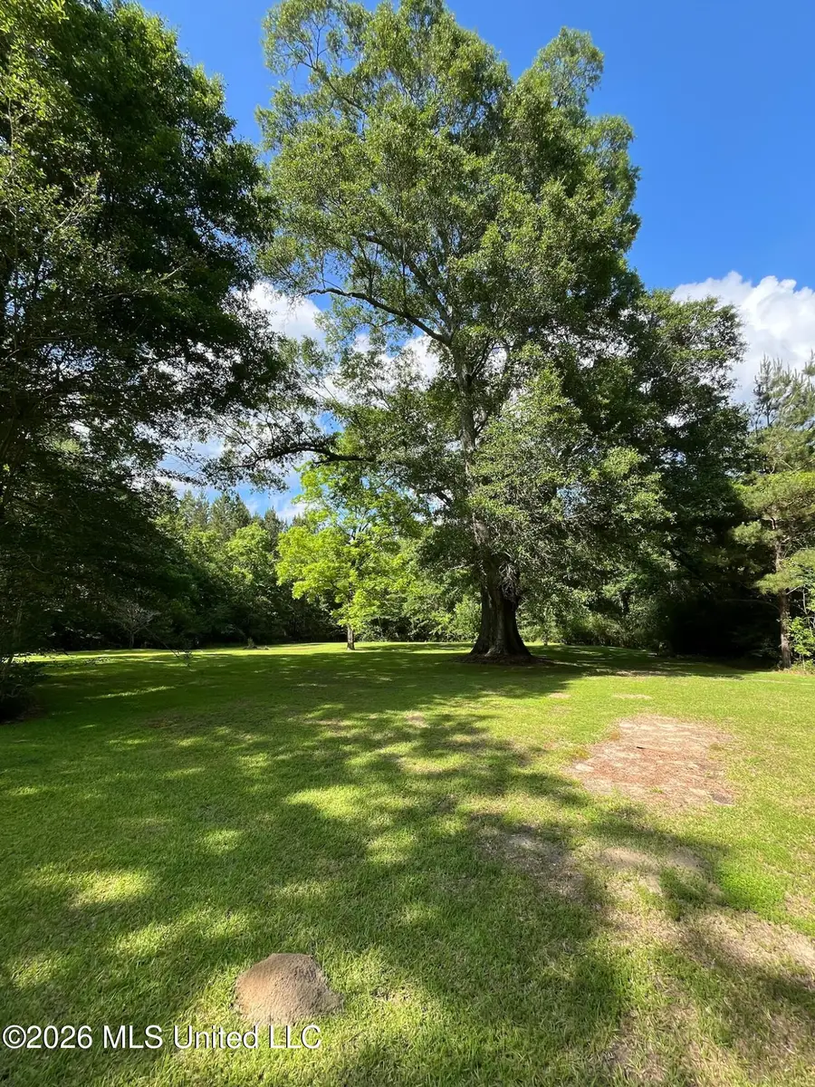 1807 Highway 15, Richton, MS 39476 - #3