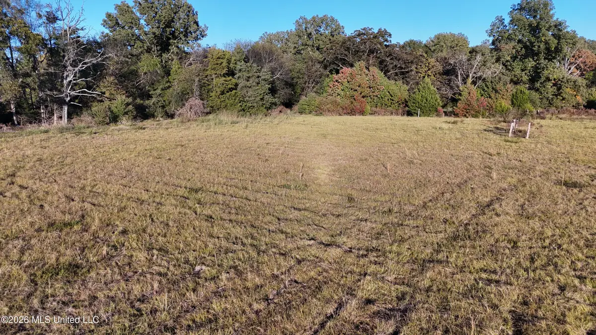 132 Renfroe Road, Canton, MS 39046 - #1