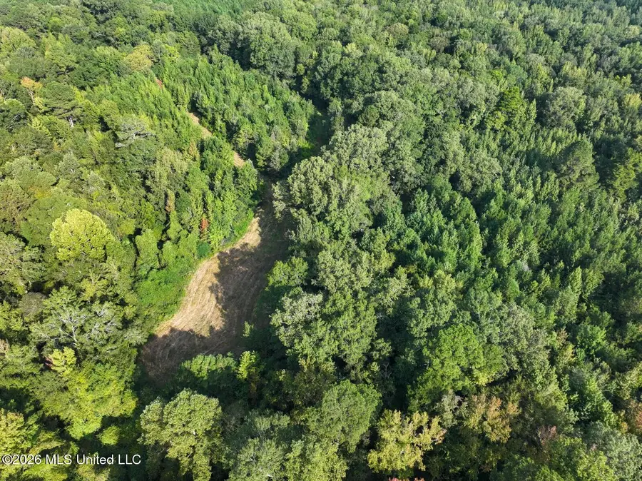 Bethesda Road, Crystal Springs, MS 39059 - #3