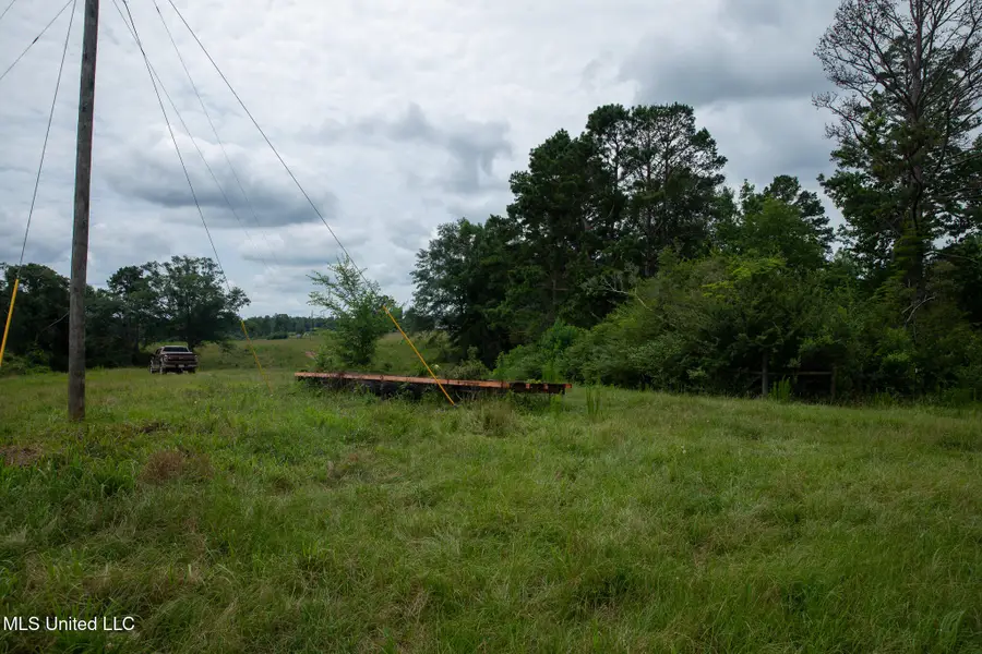 Sam Durr Road, Mount Olive, MS 39119 - #2