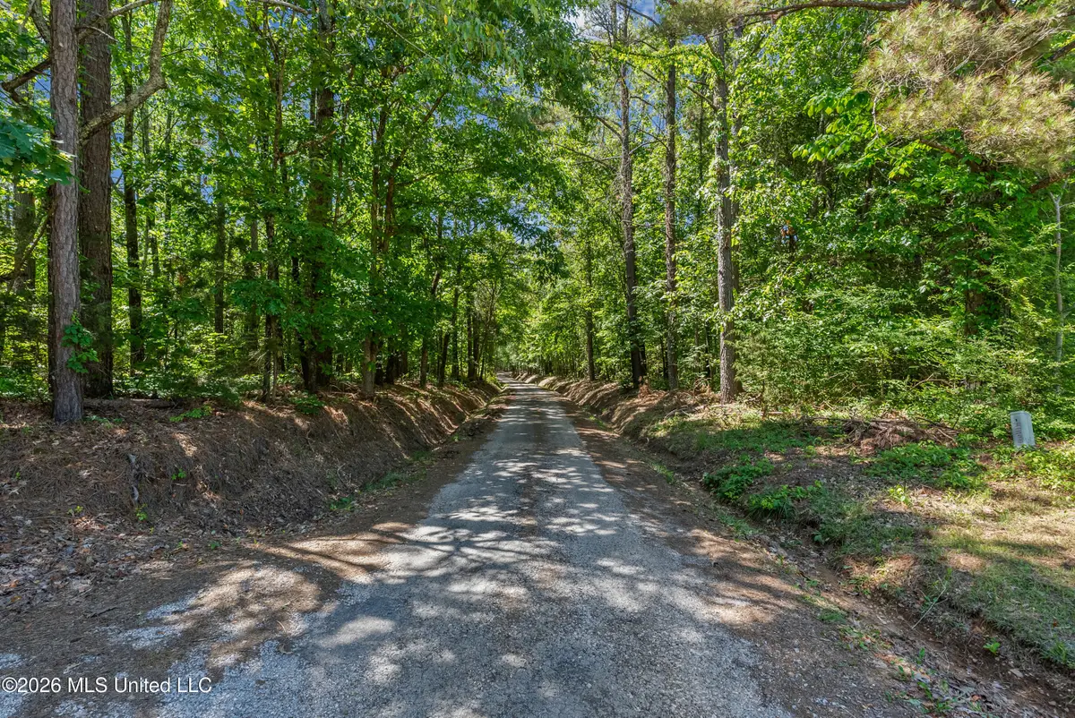 202 Powell Chapel Road, Holly Springs, MS 38635 - #1