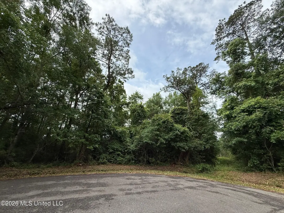 6822 Apona Street, Diamondhead, MS 39525 - #1