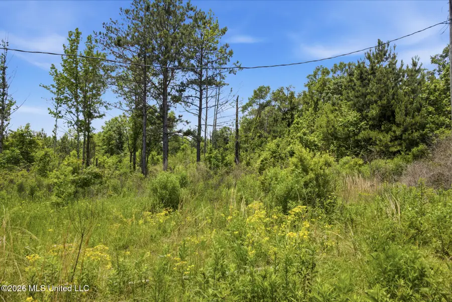 2705 Pilgrims Rest Road, Magnolia, MS 39652 - #3