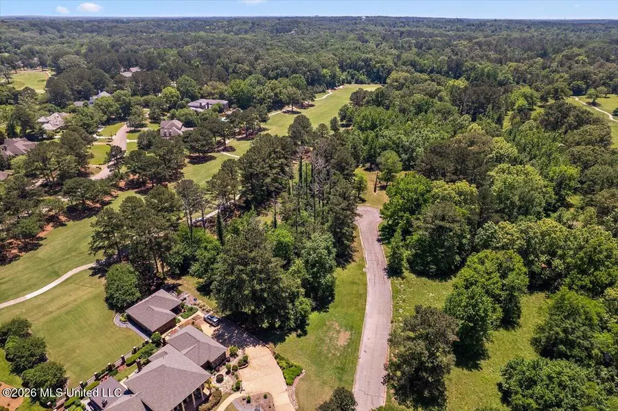 111 Bristol Court, Madison, MS 39110 - #3