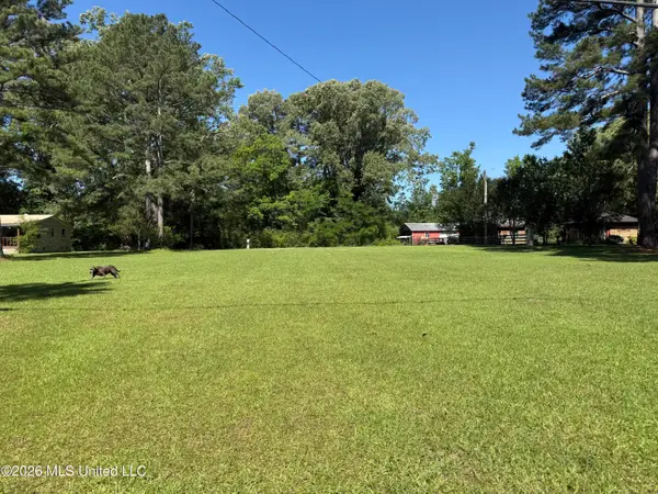 354-1 Drysdale Road, Carthage, MS 39051