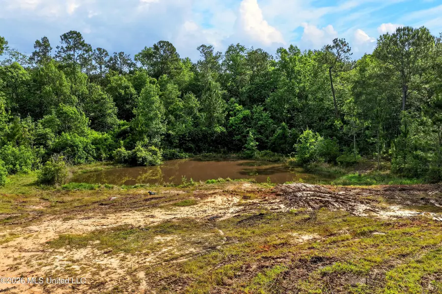 18164 Hudson Lane, Saucier, MS 39574 - #3