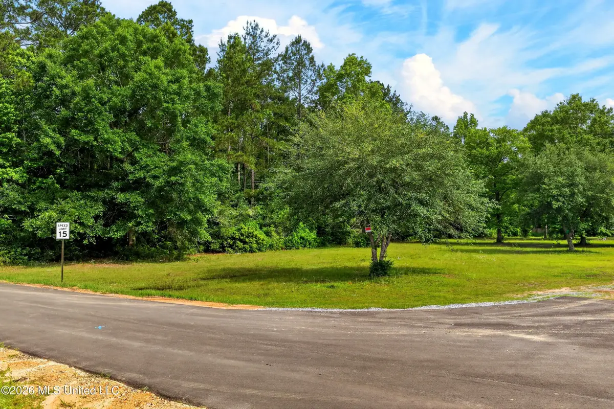 19252 Sunflower Lane, Saucier, MS 39574 - #1