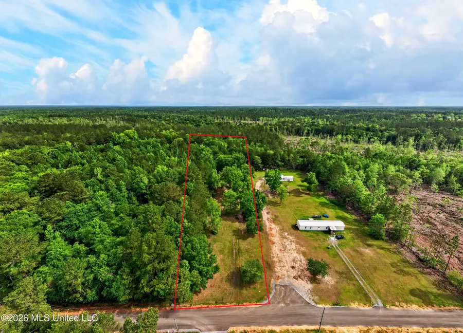 19252 Sunflower Lane, Saucier, MS 39574 - #2