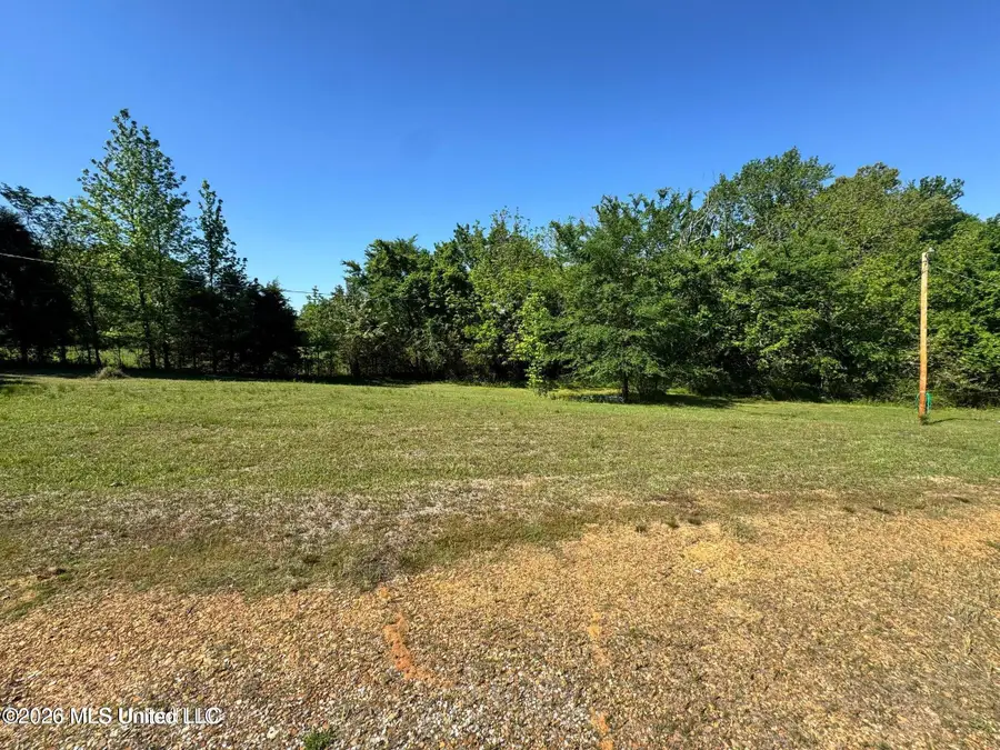 107 Union Valley Road, Byhalia, MS 38611 - #3