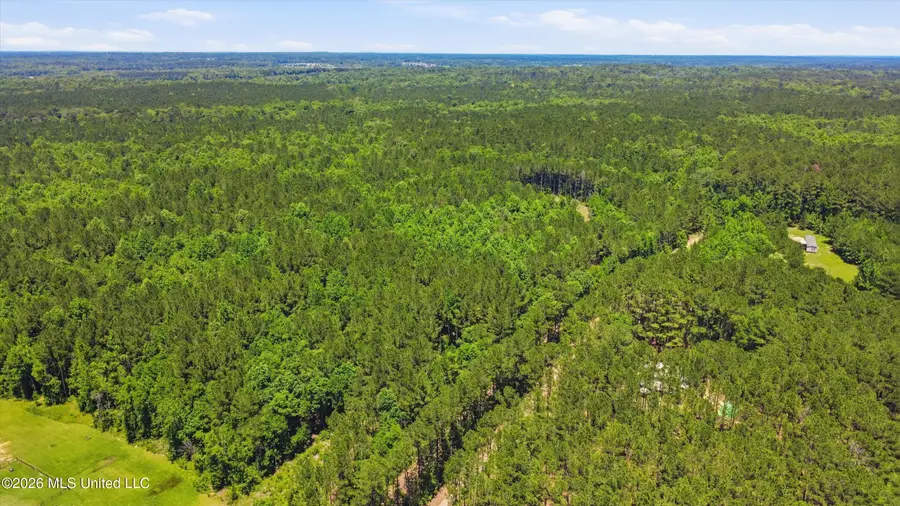 Old Lake Road, Brandon, MS 39042 - #2