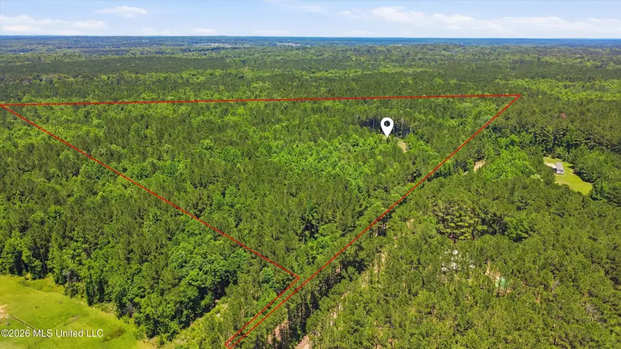 Old Lake Road, Brandon, MS 39042 - #3