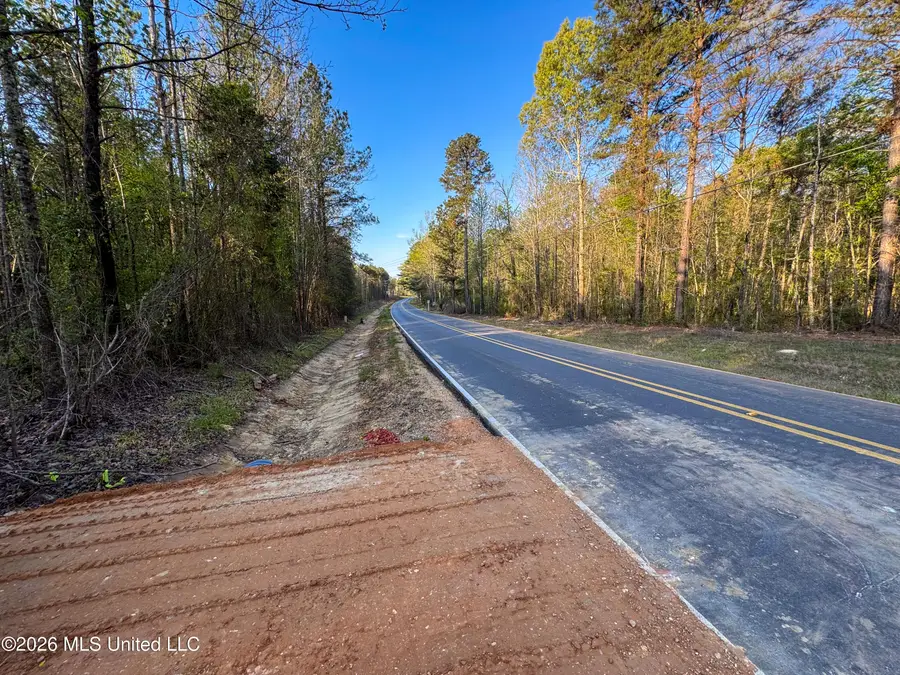 Sand Hill Road, Brandon, MS 39047 - #3
