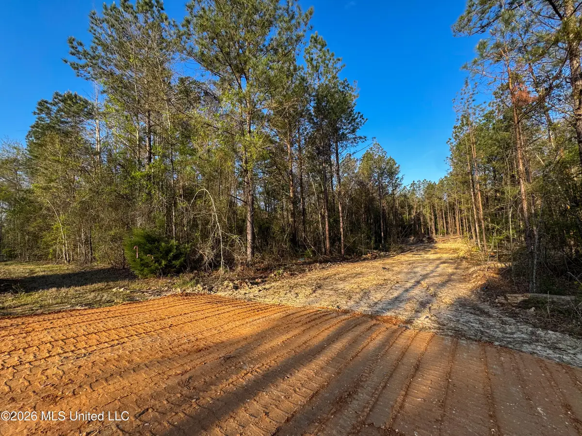 Taylor Lane, Brandon, MS 39047 - #1