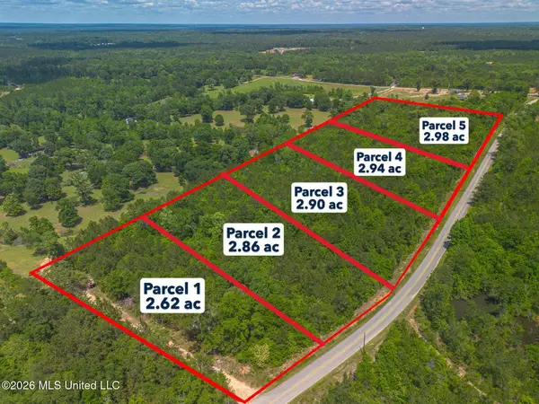 Parcel 2 M P Parker Road, McHenry, MS 39561