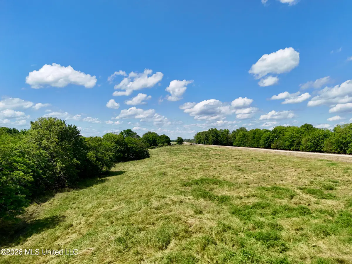 00002 Levee Maintenance Road, Redwood, MS 39156 - #1