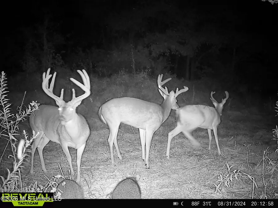 000002 Hwy 22, Flora, MS 39071 - #2