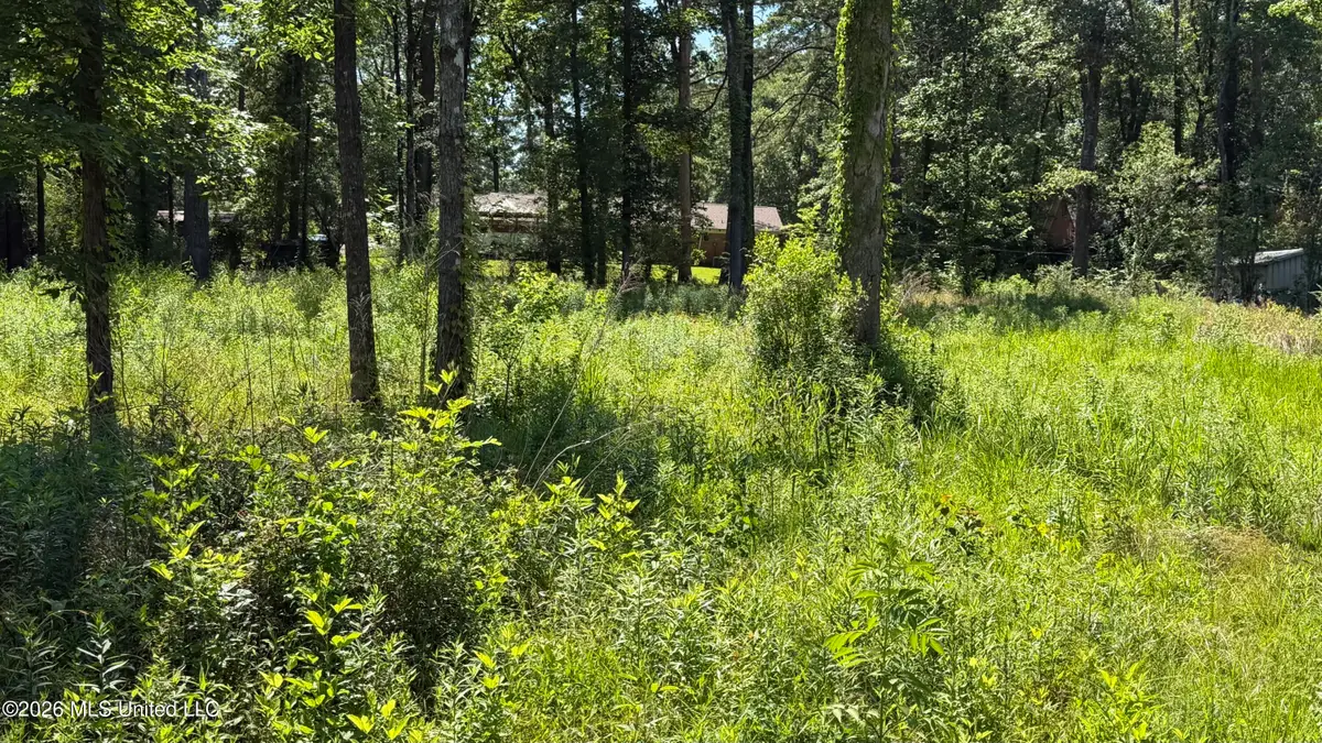 204 Dogwood Drive, Forest, MS 39074 - #1