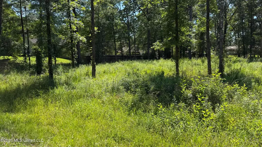 204 Dogwood Drive, Forest, MS 39074 - #2