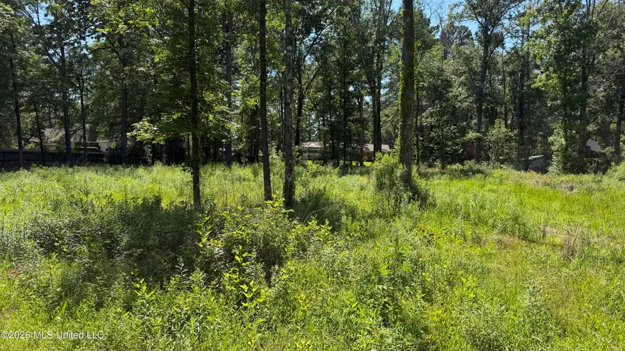 204 Dogwood Drive, Forest, MS 39074 - #3