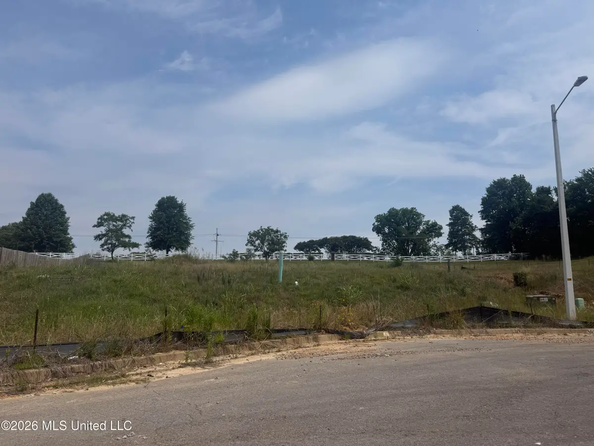 2572 Beauvior Drive, Hernando, MS 38632 - #1