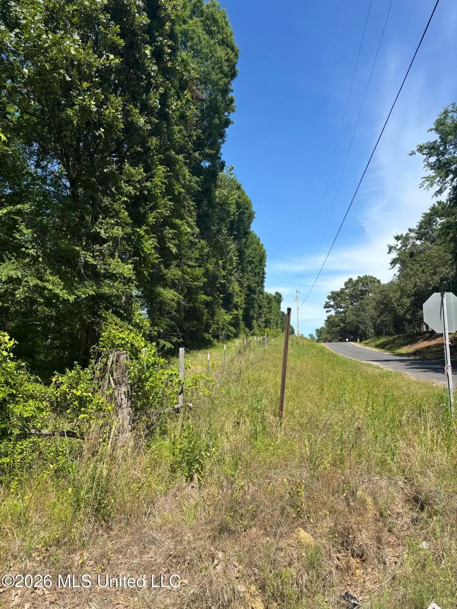 0 Belmont Road, Sardis, MS 38666 - #2