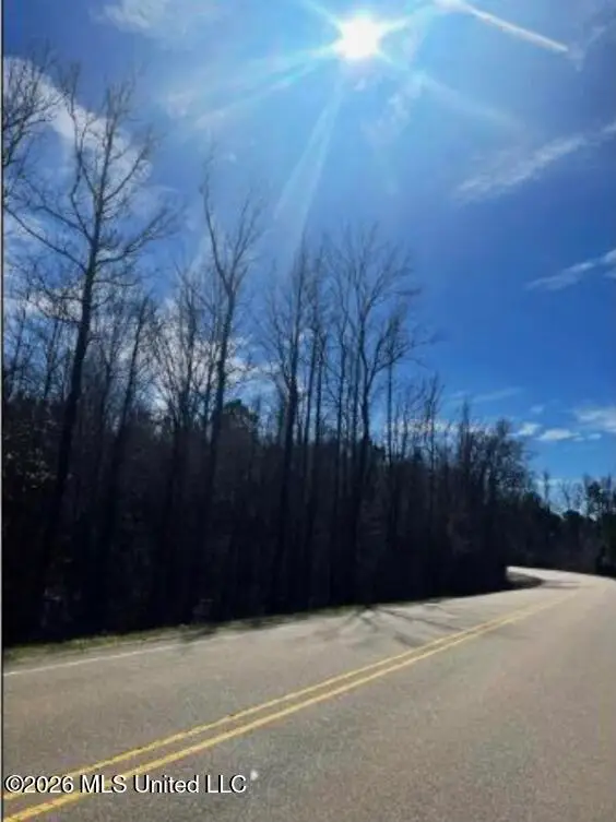 0 Star Road, Florence, MS 39073 - #3
