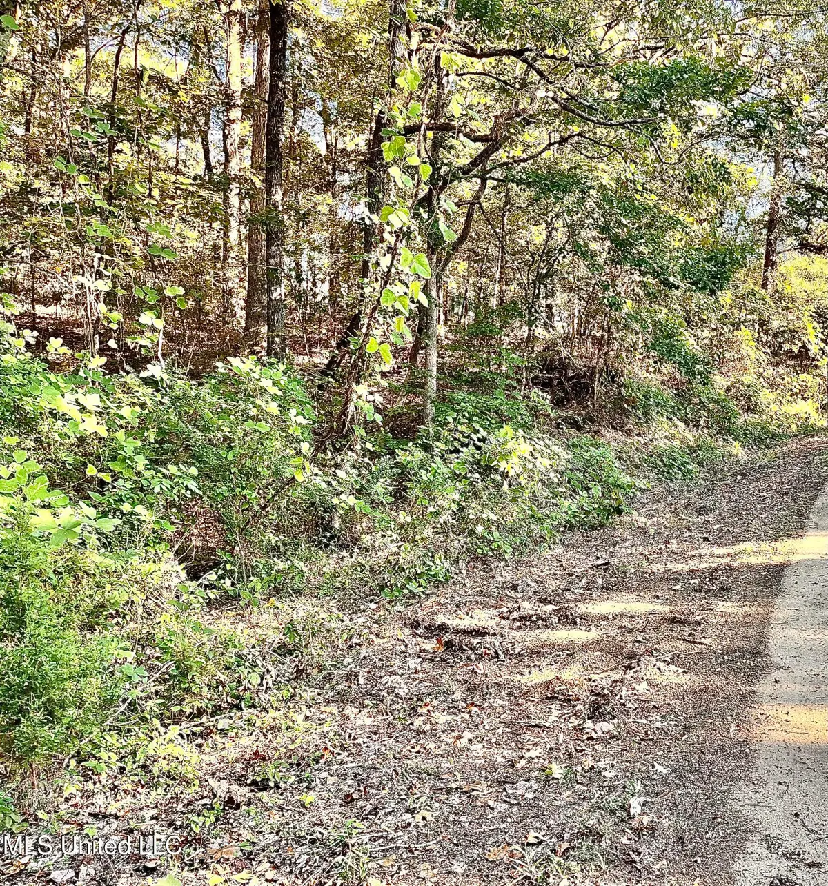 0 Snow Lake Drive, Ashland, MS 38603 - #1