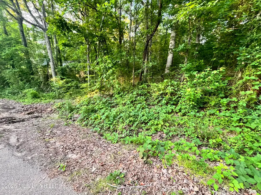 0 Snow Lake Drive, Ashland, MS 38603 - #3