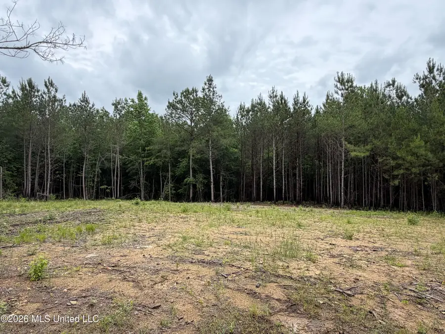 157 Walker Bottom Road, Meridian, MS 39301 - #2