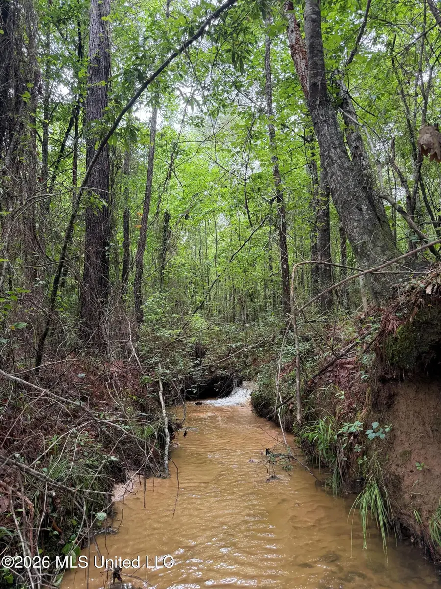 157 Walker Bottom Road, Meridian, MS 39301 - #3