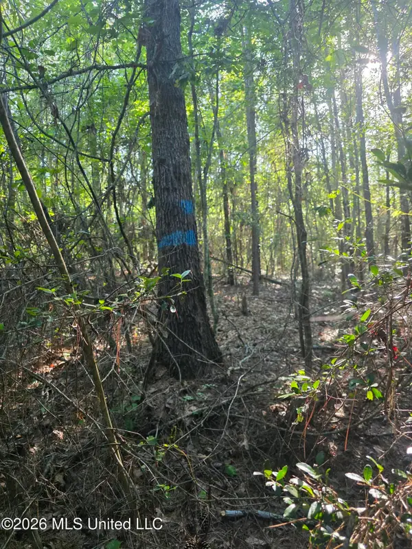 Hamilton Road, Prentiss, MS 39474