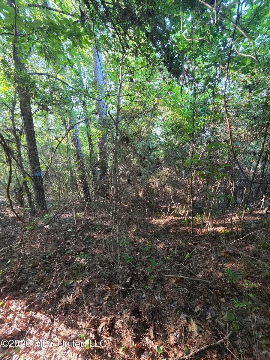 Hamilton Road, Prentiss, MS 39474 - #2