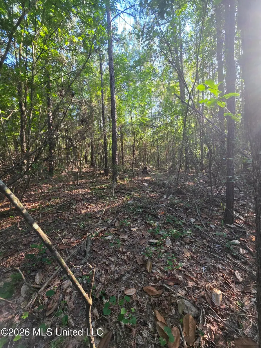 Hamilton Road, Prentiss, MS 39474 - #3