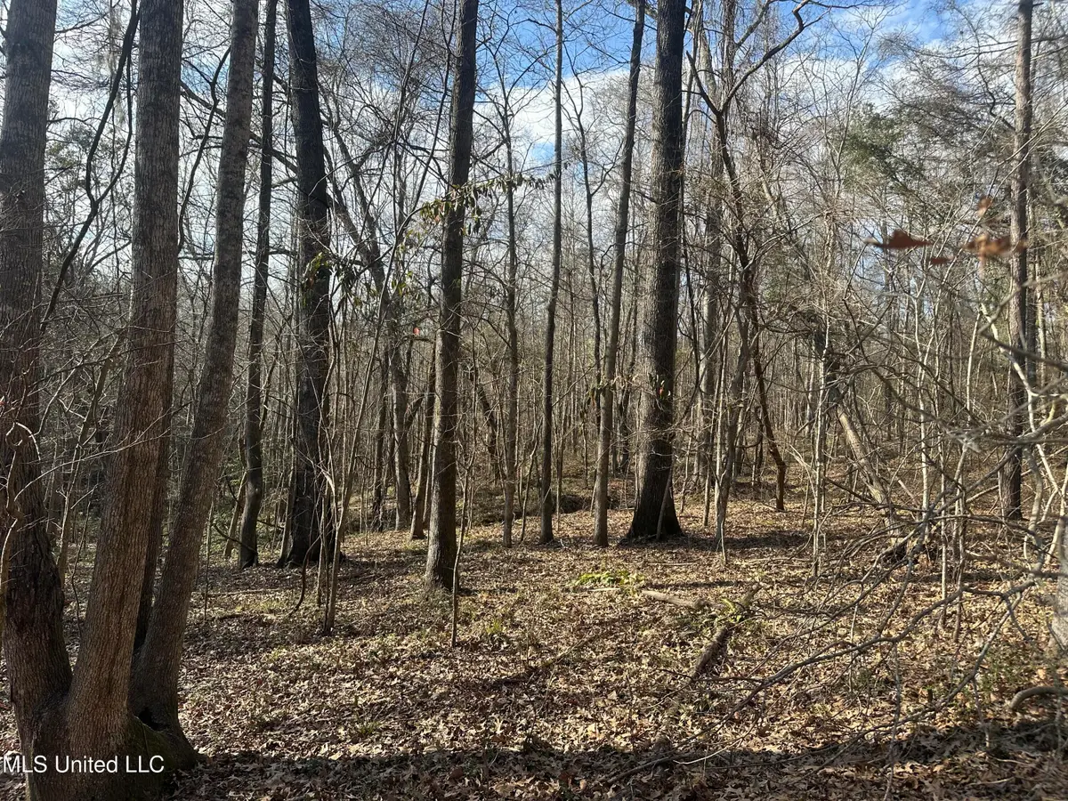 Aberdeen Road, Natchez, MS 39120 - #1