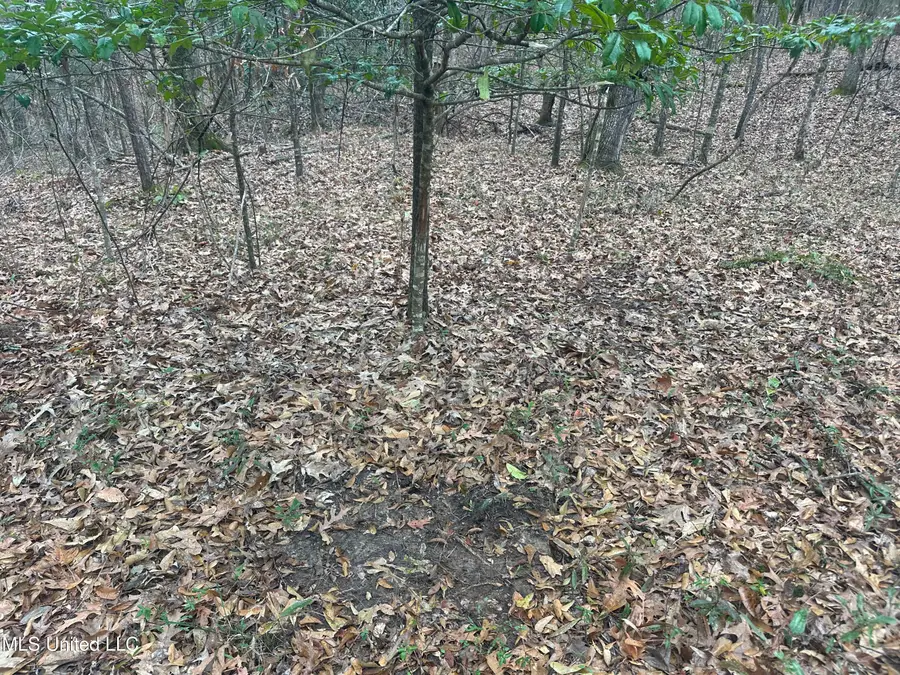 Dunbar Road, Natchez, MS 39120 - #3
