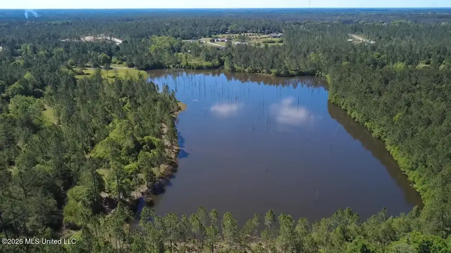 Lot 7 Road 311 Road, Kiln, MS 39556 - #3