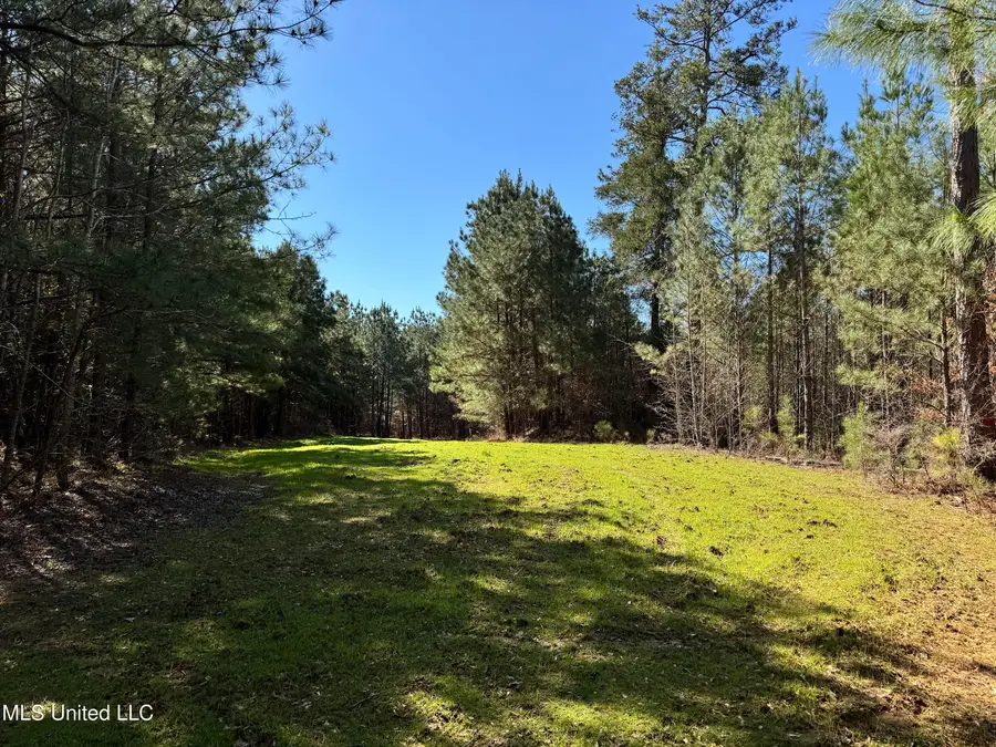 Hickory Ridge Road, Hermanville, MS 39086 - #3