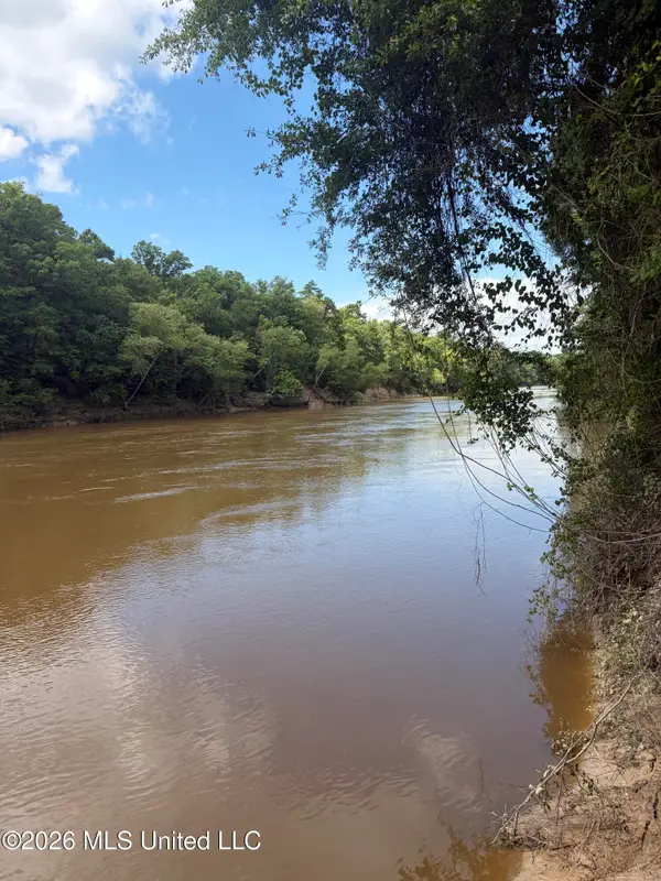 Ann Hinton Road, Beaumont, MS 39423